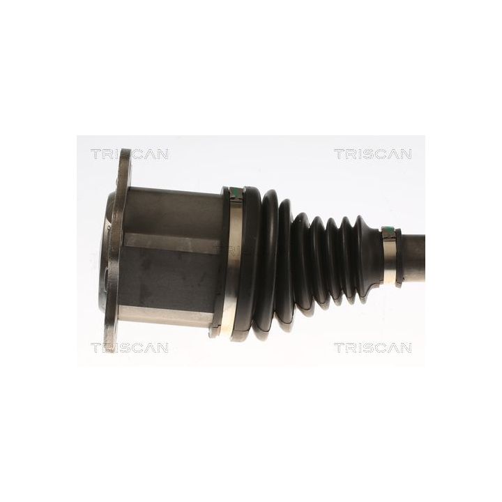 Pusašis TRISCAN 8540 296087