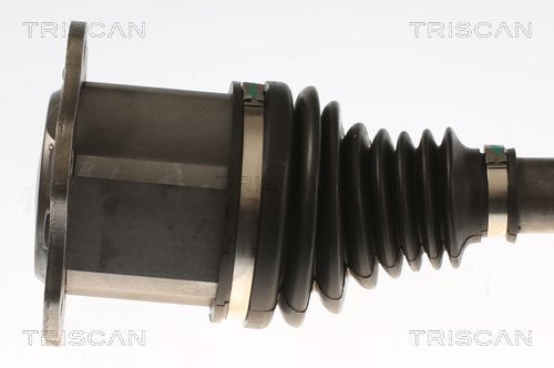 Pusašis TRISCAN 8540 296087