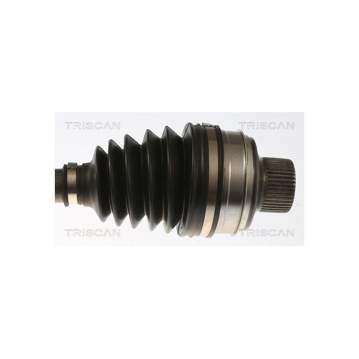 Pusašis TRISCAN 8540 296087