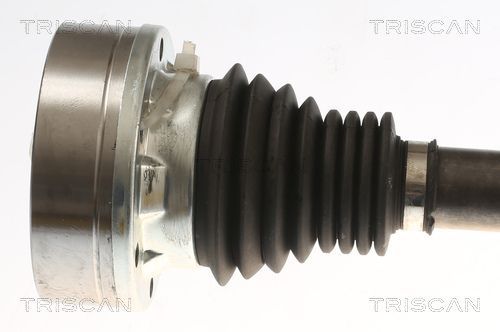 Pusašis TRISCAN 8540 296088