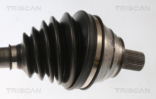 Pusašis TRISCAN 8540 296088