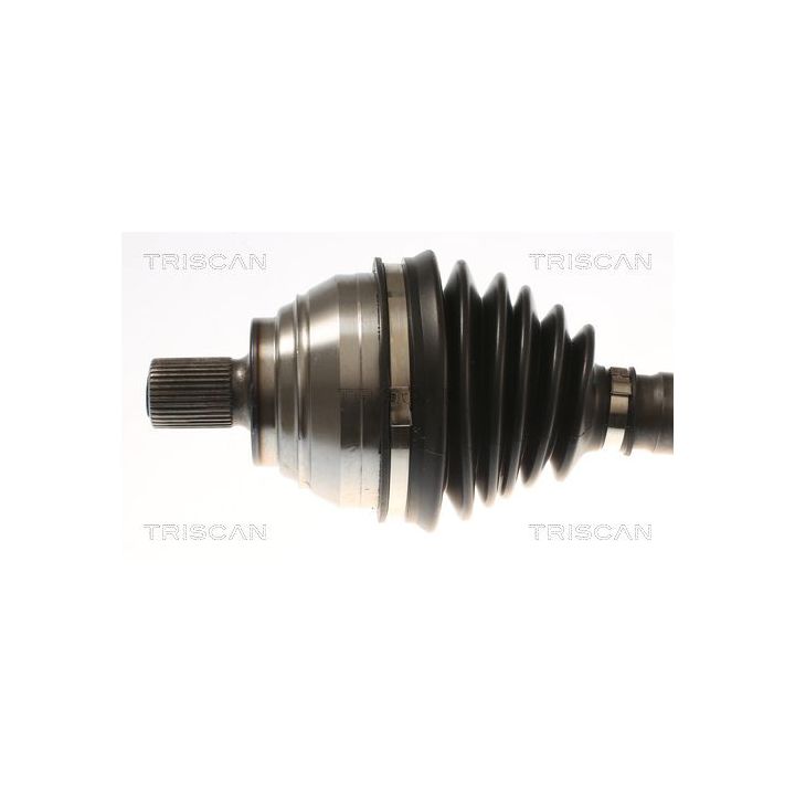 Pusašis TRISCAN 8540 296091