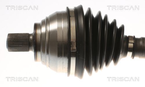 Pusašis TRISCAN 8540 296091