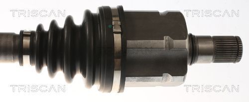 Pusašis TRISCAN 8540 296091