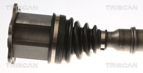 Pusašis TRISCAN 8540 296092