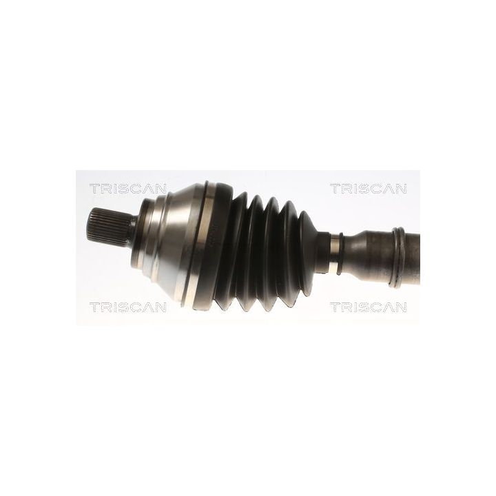 Pusašis TRISCAN 8540 296094