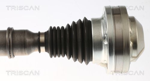 Pusašis TRISCAN 8540 296094