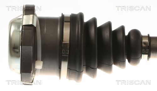 Pusašis TRISCAN 8540 296095