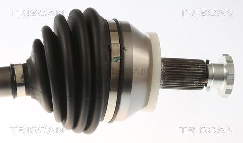 Pusašis TRISCAN 8540 296095