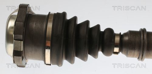 Pusašis TRISCAN 8540 296096