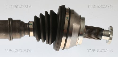 Pusašis TRISCAN 8540 296096