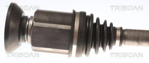 Pusašis TRISCAN 8540 296098