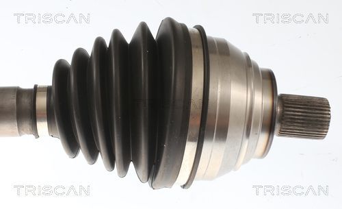 Pusašis TRISCAN 8540 296098