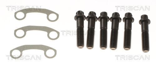 Pusašis TRISCAN 8540 297001