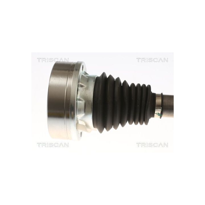 Pusašis TRISCAN 8540 297003