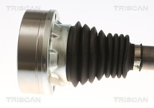 Pusašis TRISCAN 8540 297003