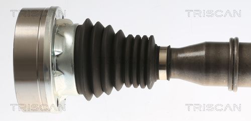 Pusašis TRISCAN 8540 297004