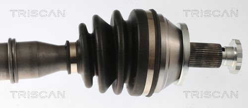 Pusašis TRISCAN 8540 297004