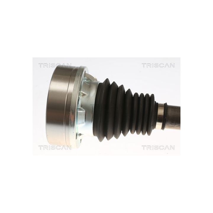 Pusašis TRISCAN 8540 297005