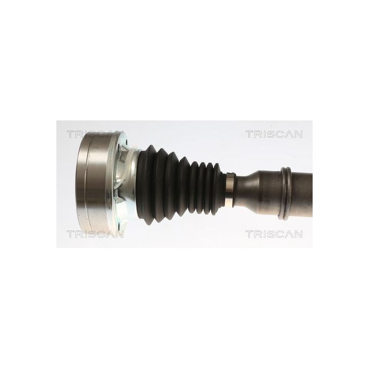 Pusašis TRISCAN 8540 297006