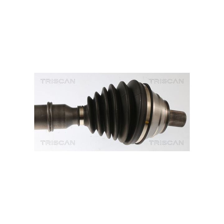 Pusašis TRISCAN 8540 297006