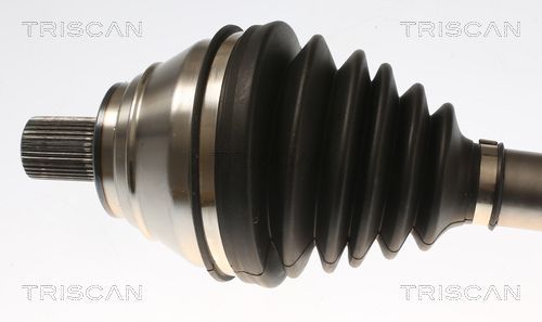 Pusašis TRISCAN 8540 297007