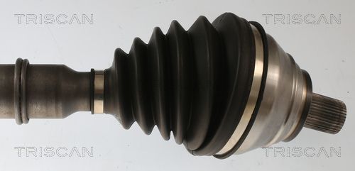 Pusašis TRISCAN 8540 297008