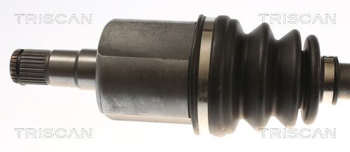 Pusašis TRISCAN 8540 297009