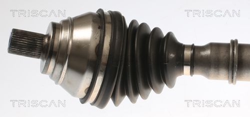 Pusašis TRISCAN 8540 297010