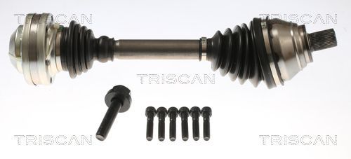 Pusašis TRISCAN 8540 297011