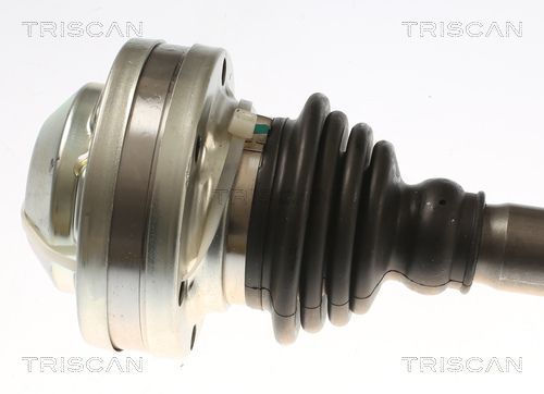 Pusašis TRISCAN 8540 297011