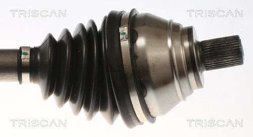 Pusašis TRISCAN 8540 297011