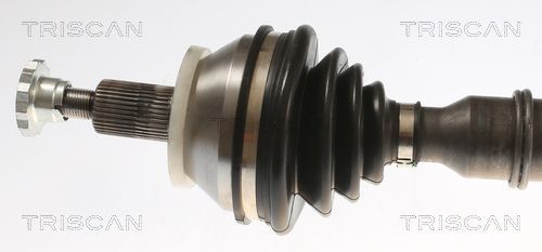 Pusašis TRISCAN 8540 297012