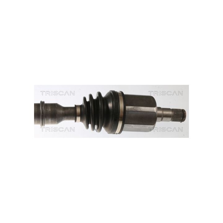 Pusašis TRISCAN 8540 297012