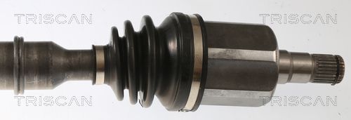 Pusašis TRISCAN 8540 297012