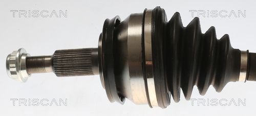 Pusašis TRISCAN 8540 297014