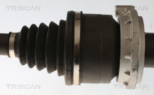 Pusašis TRISCAN 8540 297014