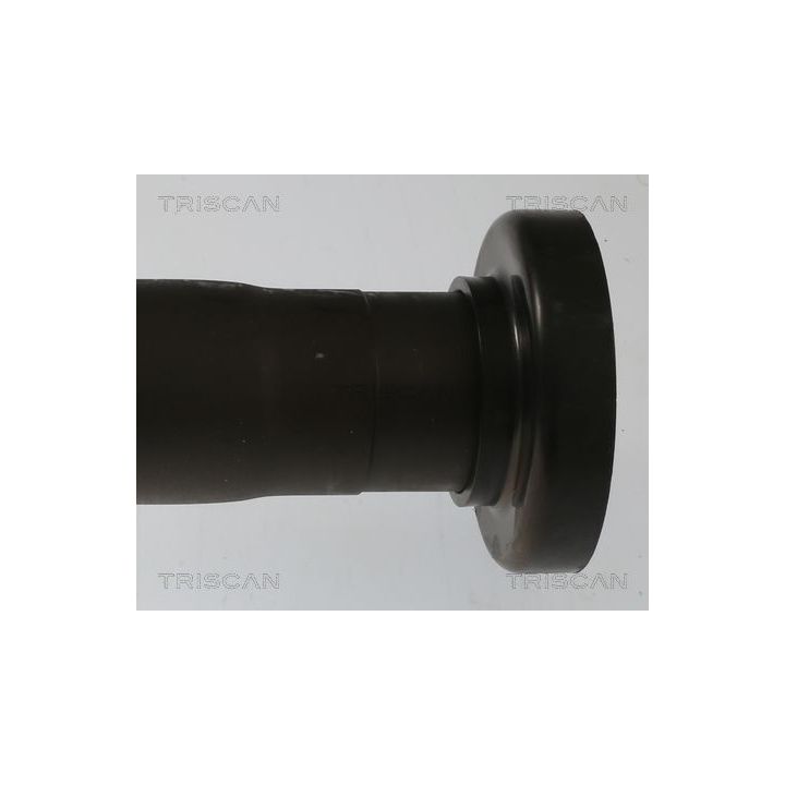 Pusašis TRISCAN 8540 297014
