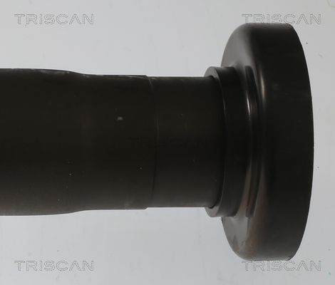 Pusašis TRISCAN 8540 297014