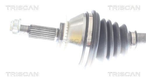 Pusašis TRISCAN 8540 297026