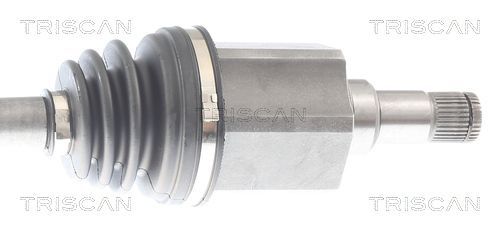 Pusašis TRISCAN 8540 297026