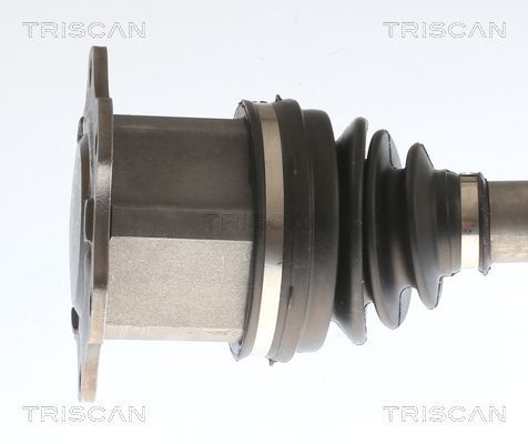 Pusašis TRISCAN 8540 297027