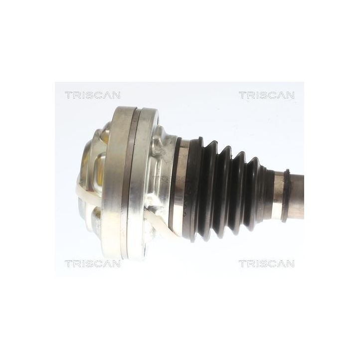 Pusašis TRISCAN 8540 297028