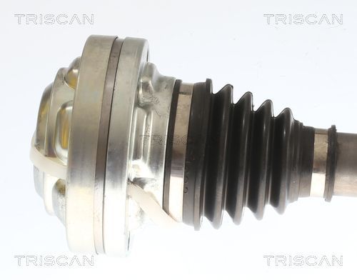 Pusašis TRISCAN 8540 297028