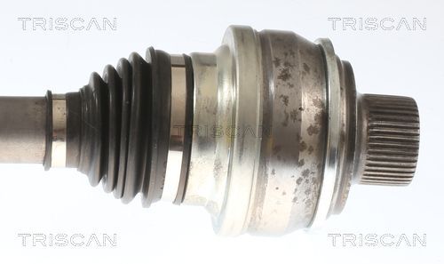 Pusašis TRISCAN 8540 297028