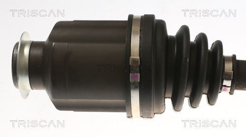 Pusašis TRISCAN 8540 43519