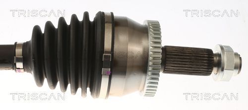Pusašis TRISCAN 8540 43519