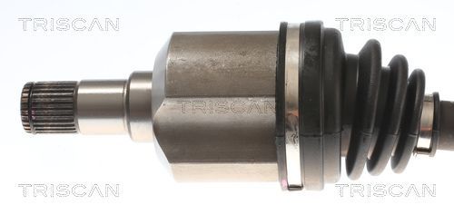 Pusašis TRISCAN 8540 43520