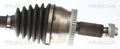 Pusašis TRISCAN 8540 43520