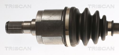 Pusašis TRISCAN 8540 43522